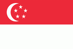 Flag Of Singapore