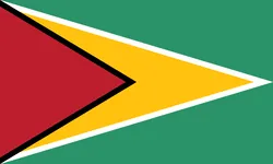 Flag Of Guyana