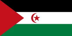 Flag Of The Sahrawi Arab Democratic Republic